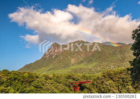 屋久島世界自然遺產:莫喬穆山和美麗的彩虹(秋天) 屋久島世界自然遺產:莫喬穆山和美麗的彩虹(秋天) 130500261