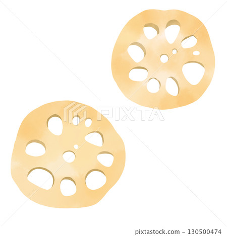 Watercolor style Japanese illustration of lotus root slices Watercolor style Japanese illustration of lotus root slices 130500474