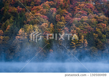 中綱湖(秋季) 中綱湖(秋季) 130500499