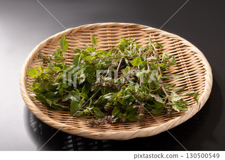 Holy basil Holy basil 130500549