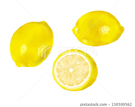 Hand-drawn lemon illustration in watercolor style Hand-drawn lemon illustration in watercolor style 130500562