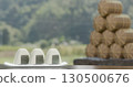 Rice ball and rice ball 130500676