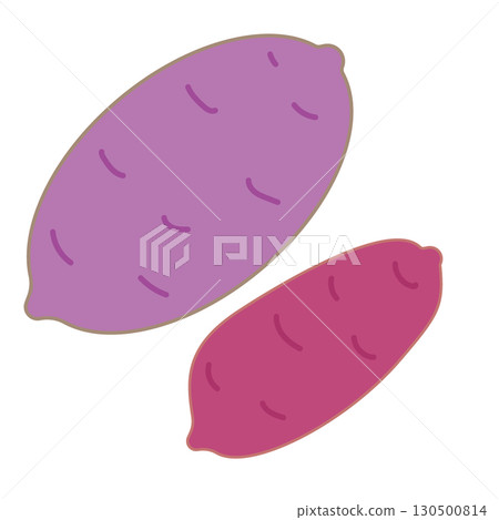 Simple illustration of sweet potato with skin 130500814