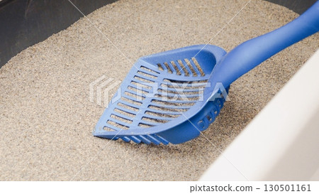 Scooping Cat Litter Maintaining a Clean Home Environment for Happy Cats and Owners Alike Scooping Cat Litter Maintaining a Clean Home Environment for Happy Cats and Owners Alike 130501161