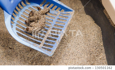 Scooping Cat Litter Maintaining a Clean and Healthy Home Environment, Pet Care and Hygiene Scooping Cat Litter Maintaining a Clean and Healthy Home Environment, Pet Care and Hygiene 130501162