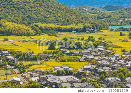 京都的秋天：嵯峨野路的田園風光 130501339