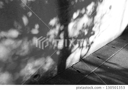 混凝土牆上倒映的樹影照片 130501353