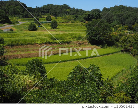 懷舊的風景 130501435