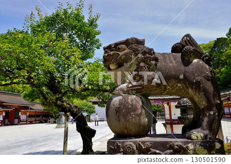 Dazaifu Tenmangu Shrine Main Hall Dazaifu Tenmangu Shrine Main Hall 130501590