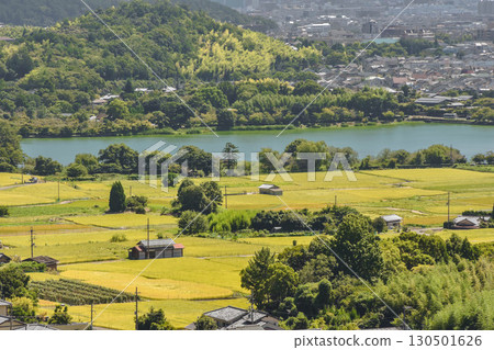 京都的秋天：嵯峨野路的田園風光 130501626