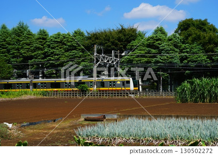 Train running in the suburbs 130502272