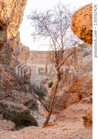 Inside Sesriem canyon in Namibia 130502426