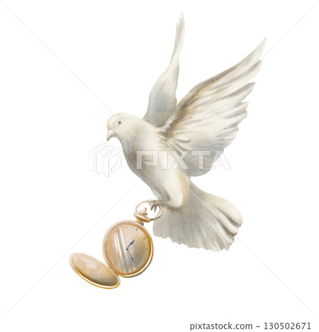 White pigeon soaring in air with vintage gold pocket watch with open cover showing time of change.Dove spread its wings.Hand drawn watercolor illustration isolated on white 130502671
