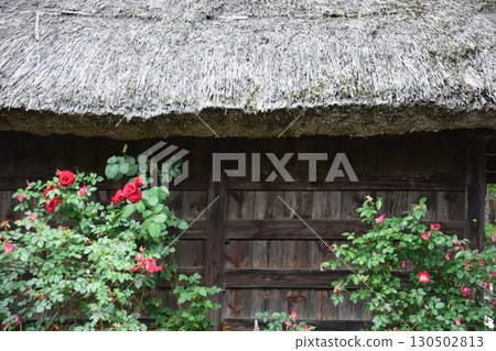 忍野Hakkai 130502813