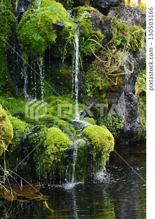 忍野八海：水滴入池塘 130503166