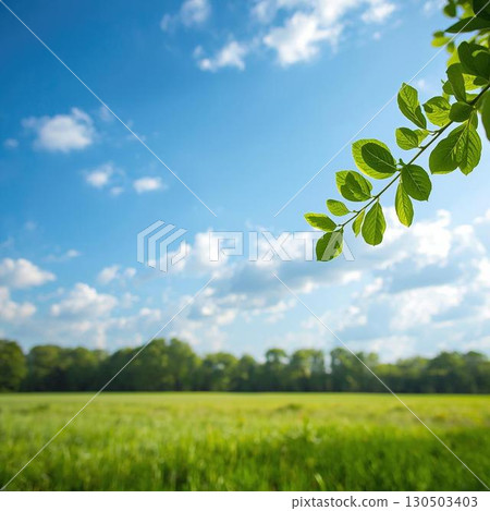 藍天白雲、新綠美麗的風景 130503403