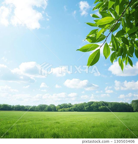 Beautiful scenery of blue sky and fresh greenery 130503406
