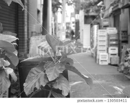 市區風光 市區風光 130503411
