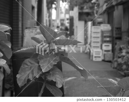 downtown scenery 130503412