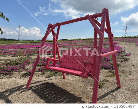 Red slide 130503497