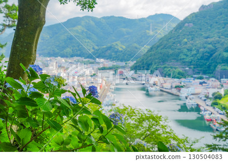 [Shizuoka Prefecture] Shimoda City, hydrangea and cityscape of Shimoda Park 130504083