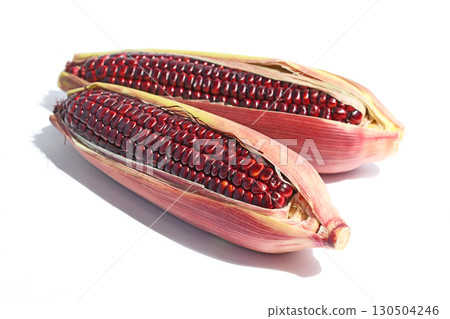 Corn (Yamato Rouge) Corn (Yamato Rouge) 130504246