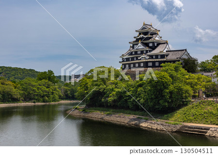 Okayama Castle 130504511