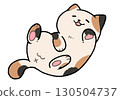 Calico cat (rolling around) 130504737