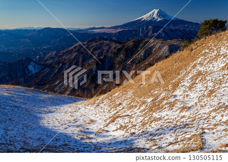 清晨從大菩薩山的白谷丸眺望富士山 130505115