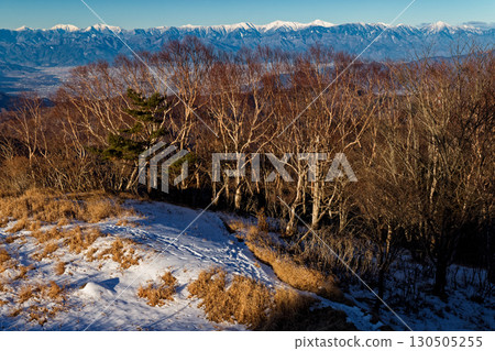 Morning view of the Southern Alps from Shiratani-no-maru in the Daibosatsu Range 130505255