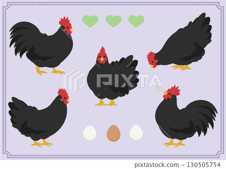 簡單的黑雞向量插圖集 130505754