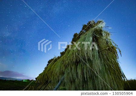 星夜與稻穗 星夜與稻穗 130505904