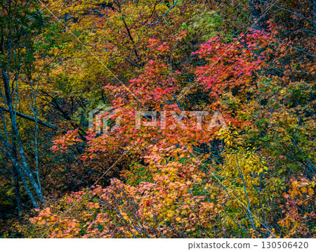 Minamiaizu秋葉 Minamiaizu秋葉 130506420