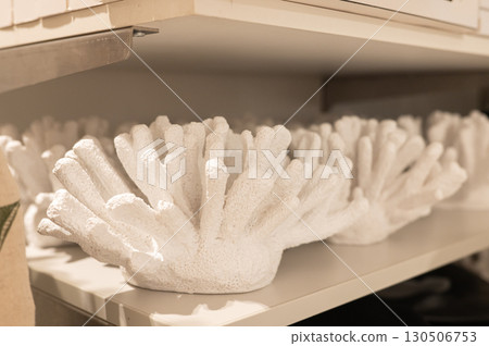 Shelf display of white coral decor pieces in home interiors Shelf display of white coral decor pieces in home interiors 130506753