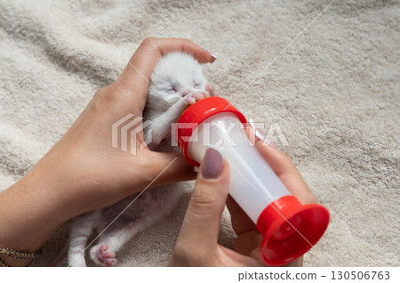 Hands bottle-feeding newborn kitten on soft blanket Hands bottle-feeding newborn kitten on soft blanket 130506763