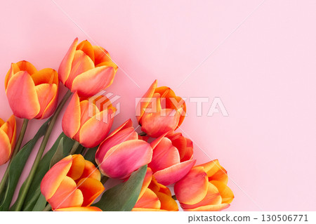 Vibrant orange and pink tulips on soft pink background 130506771