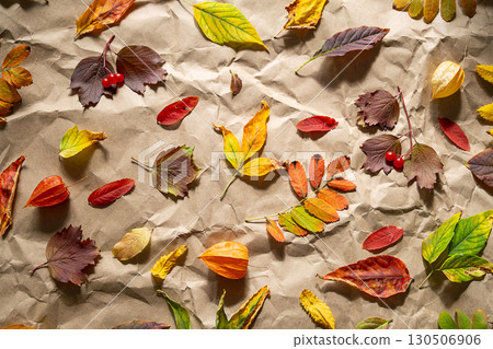 Colorful autumn leaves scattered on crumpled craft paper. Colorful autumn leaves scattered on crumpled craft paper. 130506906