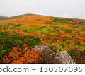 Autumn leaves on Mount Kurikoma (God's Carpet) 130507095