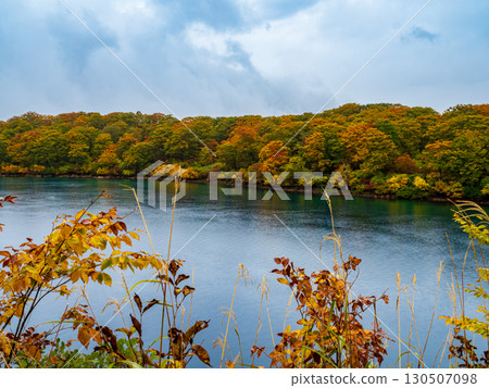 Autumn leaves on Mount Kurikoma (God's Carpet) 130507098