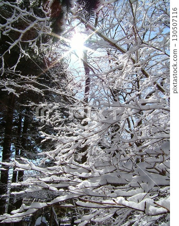 Silvery white Karuizawa 130507116