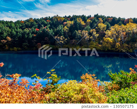Autumn leaves at Jododaira (Okenuma) Autumn leaves at Jododaira (Okenuma) 130507175