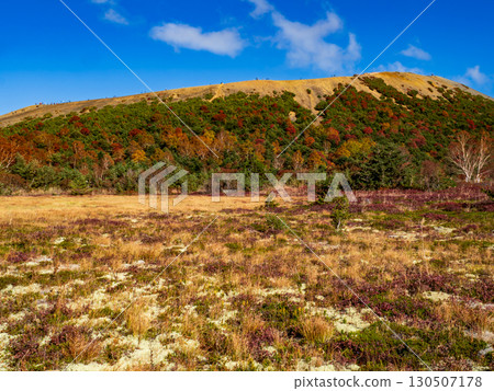 Jododaira in autumn colors Jododaira in autumn colors 130507178