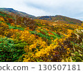 Autumn leaves on Mount Kurikoma (God's Carpet) 130507181