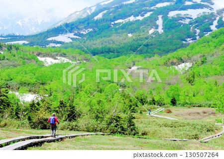 Tsugaike Nature Park in June, Part 2, Part 1 Tsugaike Nature Park in Spring Shinshu Nature Shinshu Scenery 130507264