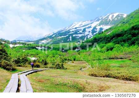 六月的栂池自然公園 第二部分 第一部分 春季的梔池自然公園 信州的自然風光 信州的風景 130507270