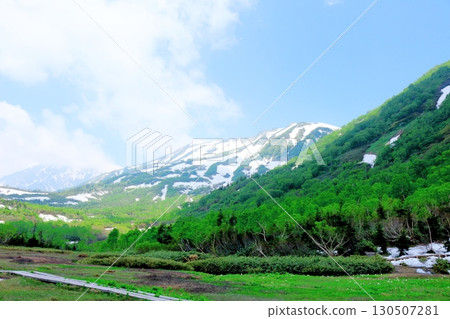 Tsugaike Nature Park in June, Part 2, Part 1 Tsugaike Nature Park in Spring Shinshu Nature Shinshu Scenery Tsugaike Nature Park in June, Part 2, Part 1 Tsugaike Nature Park in Spring Shinshu Nature Shinshu Scenery 130507281