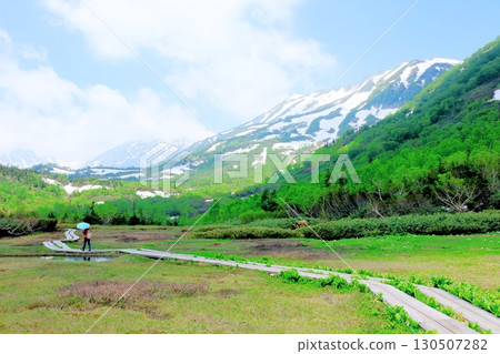 Tsugaike Nature Park in June, Part 2, Part 1 Tsugaike Nature Park in Spring Shinshu Nature Shinshu Scenery Tsugaike Nature Park in June, Part 2, Part 1 Tsugaike Nature Park in Spring Shinshu Nature Shinshu Scenery 130507282
