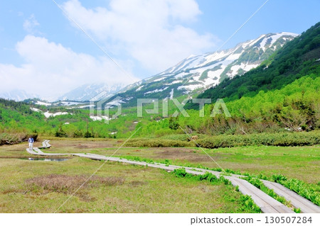 六月的栂池自然公園 第二部分 第一部分 春季的梔池自然公園 信州的自然風光 信州的風景 130507284