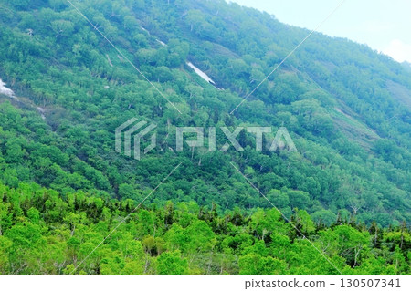 六月的栂池自然公園 第二部分 第一部分 春季的梔池自然公園 信州的自然風光 信州的風景 六月的栂池自然公園 第二部分 第一部分 春季的梔池自然公園 信州的自然風光 信州的風景 130507341
