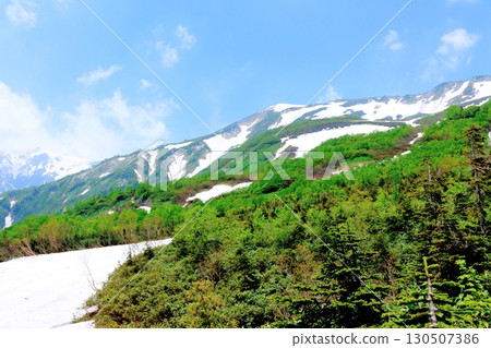 Tsugaike Nature Park in June, Part 2, Part 1 Tsugaike Nature Park in Spring Shinshu Nature Shinshu Scenery 130507386